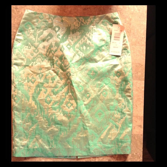 Sunny Leigh Dresses & Skirts - Gorgeous Mint Skirt💚