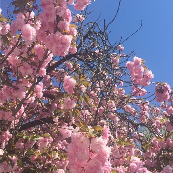 Meet your Posher, Rachael