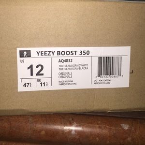 Mens Yeezy Boost 350 Turtle