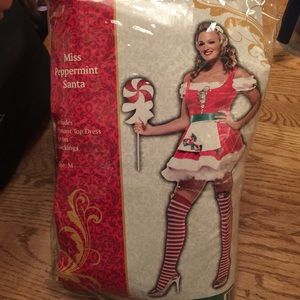 Miss Peppermint Santa Sexy Costume