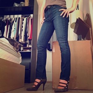Ann Taylor Loft Modern Skinny Jeans