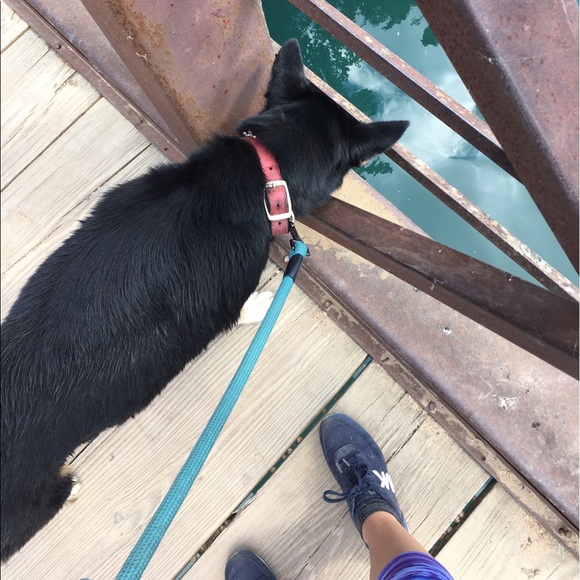 🌺 Meet your Posher 🌺 - Picture 2 of 3