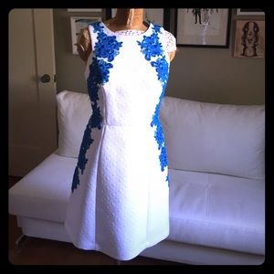 Fabulous Ivy + Blu Dress from Modcloth