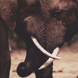 Meet your Posher, Shaelyn