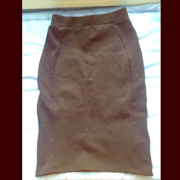 Zara Bodycon Pencil Skirt