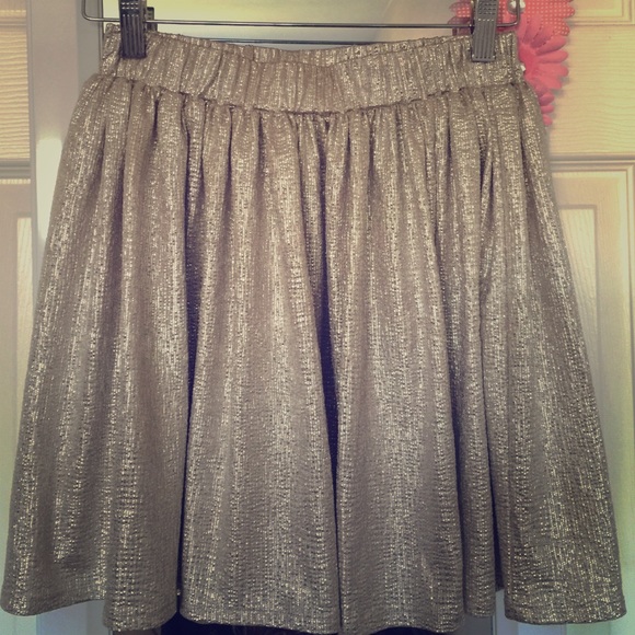 Glittery Skirt.