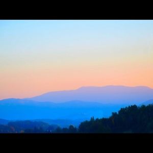 Meet your Posher, Bee