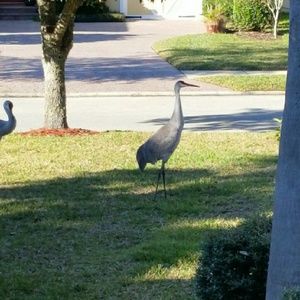 Meet your Posher, Brett