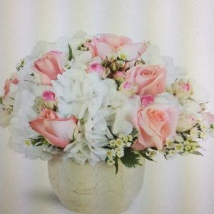 Meet your Posher, Lorraine