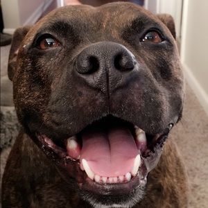 Meet your Posher, Gina