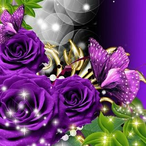 Meet your Posher, Missy