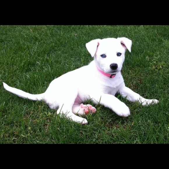 Meet your Posher, Caitlyn