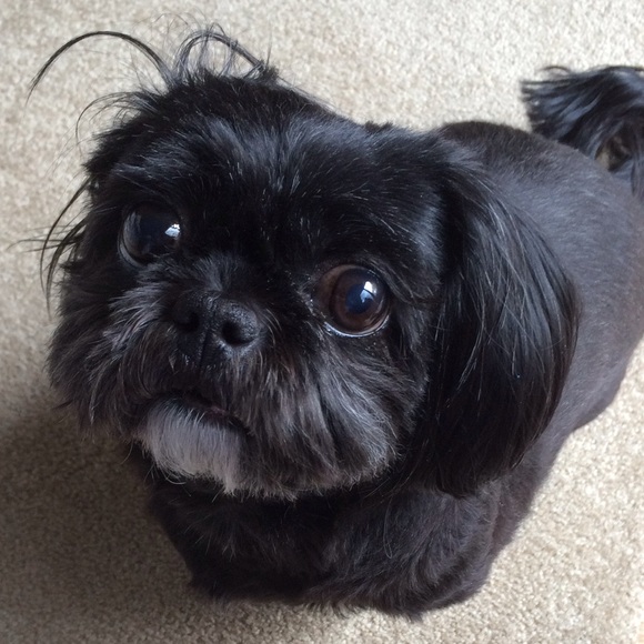 Meet your Posher, Kerry - Picture 2 of 3