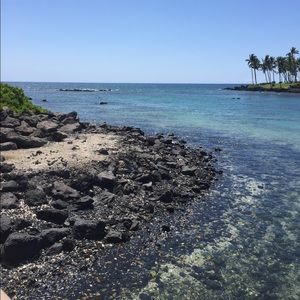 Meet your Posher, Hana