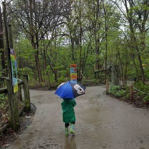 Meet your Posher, Rose