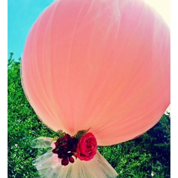 Meet your Posher, Anel