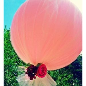 Meet your Posher, Anel