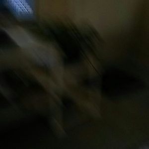 Meet your Posher, Joann