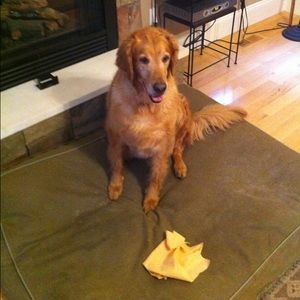 Meet your Posher, Lara