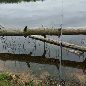 Meet your Posher, Carie