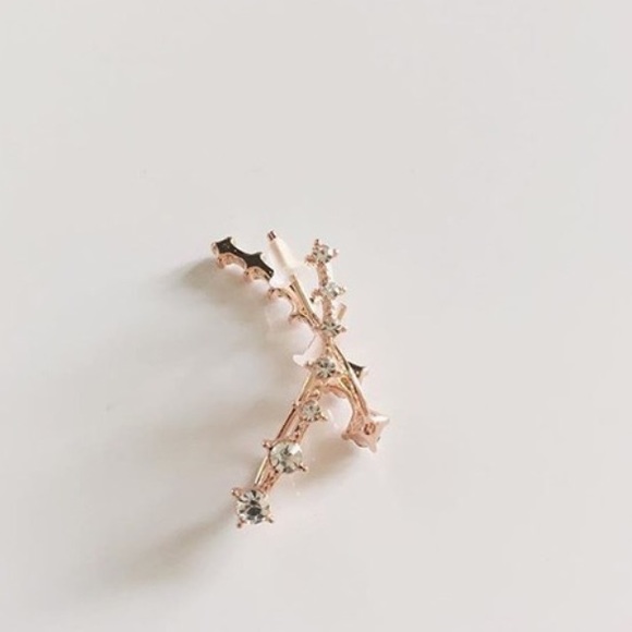 Brandy Melville Jewelry Celeste Rose Gold Earrings Poshmark