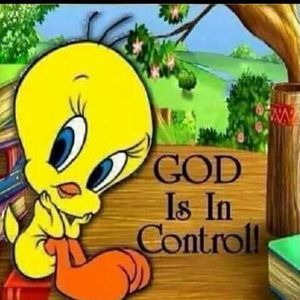 Meet your Posher, Bj