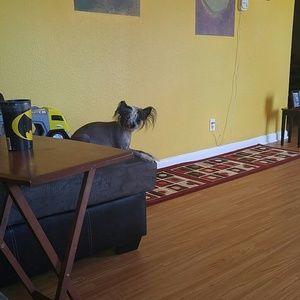 Meet your Posher, Lydia