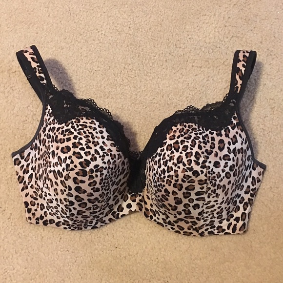 Cacique leopard print bra