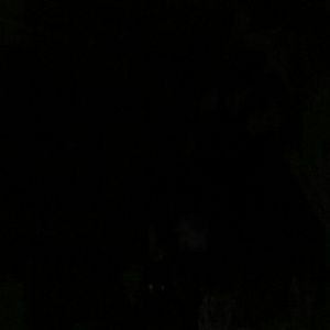 Meet your Posher, Sienna