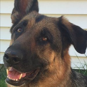 Meet your Posher, Chrissy