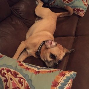 Meet your Posher, Melodi