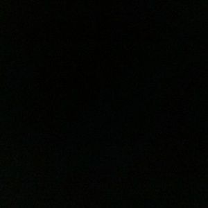 Meet your Posher, Sophie