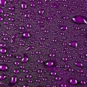 Meet your Posher, Tami