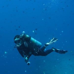 Meet your Posher, Sayde