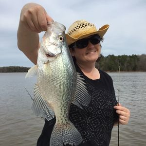 Meet your Posher, Lydiaanne