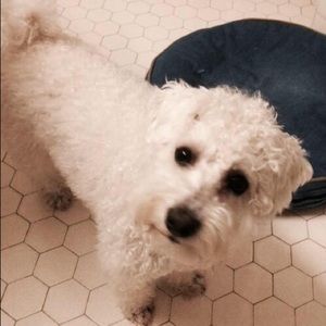 Meet your Posher, Dana