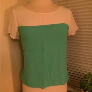 Block Color Dressy Blouse