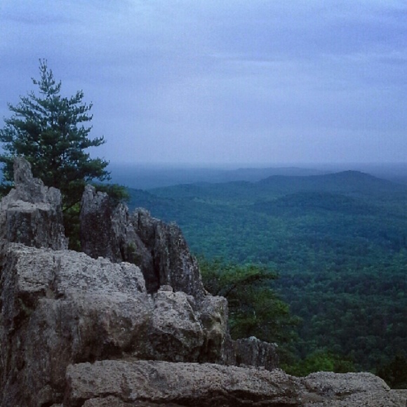 Meet your Posher, Rebecca - Picture 3 of 4