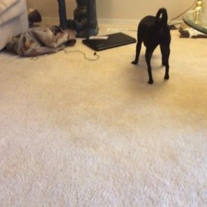 Meet your Posher, Jena