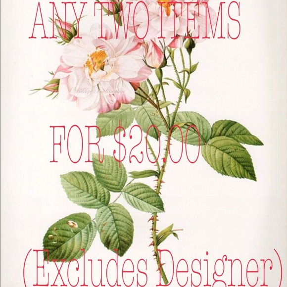 ANY 2 items for $20