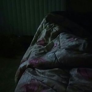 Meet your Posher, Penny