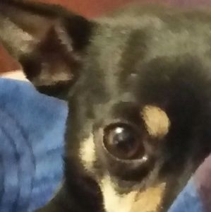 Meet your Posher, Nataly