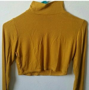 Cropped Turtleneck Top