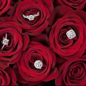 Meet your Posher, Taina