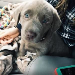 Meet your Posher, Gina