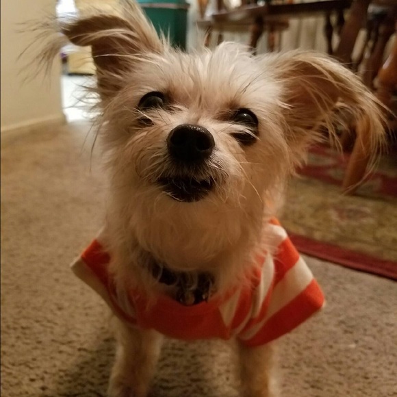 Meet your Posher, Colleen ºoº - Picture 10 of 10