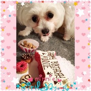 Meet your Posher, Eva