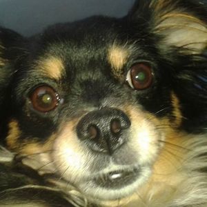 Meet your Posher, Cathy