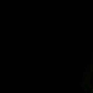 Meet your Posher, Tamika