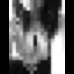 Meet your Posher, Alisha